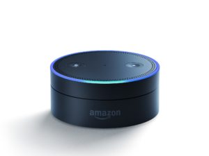 Alexa – Amazon Echo Dot for NSW