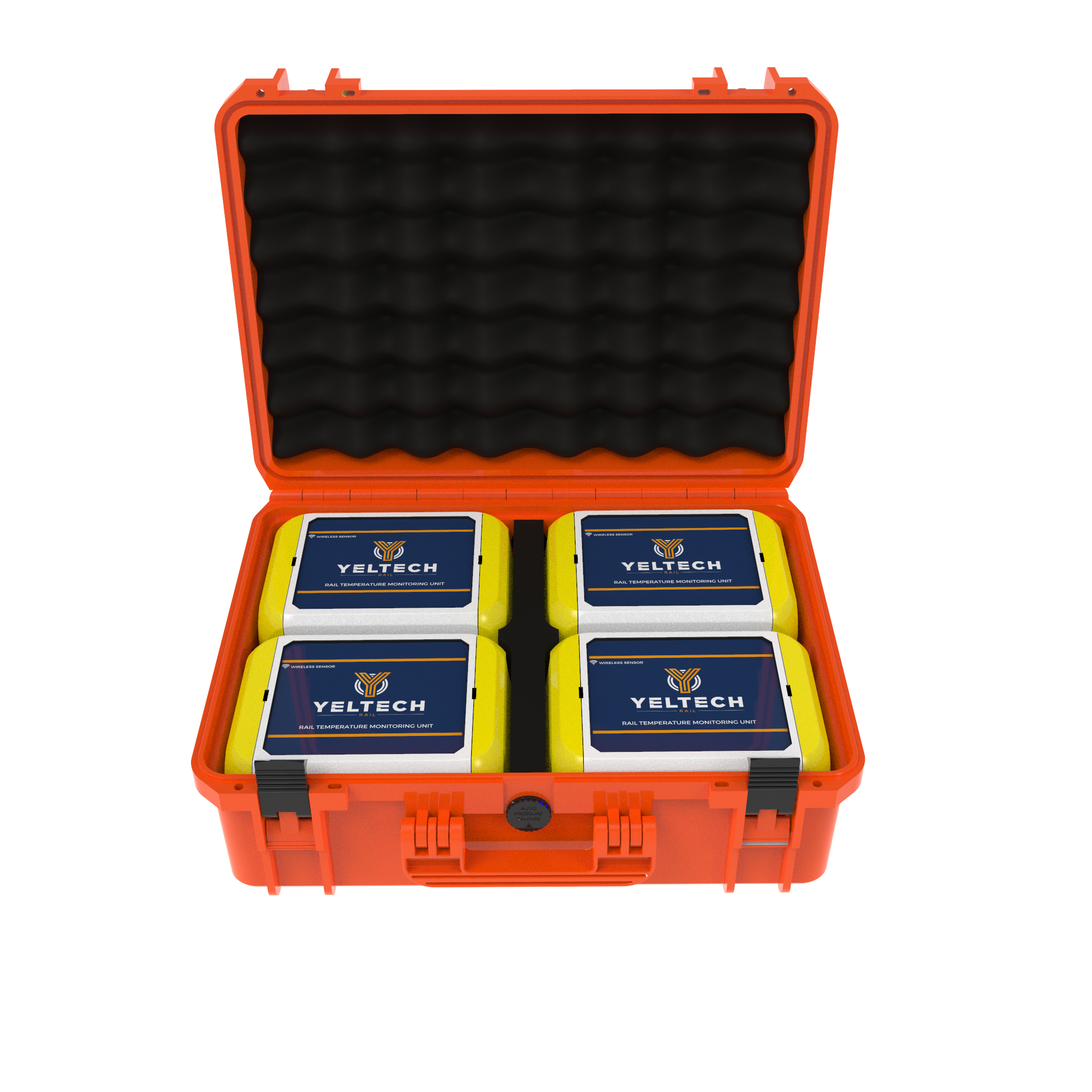 Transport Multiple Rail Temperature Monitors with our Carry Case