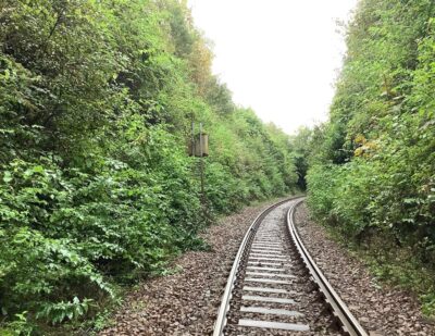 Network Rail Trial Aims to Improve Lineside Biodiversity