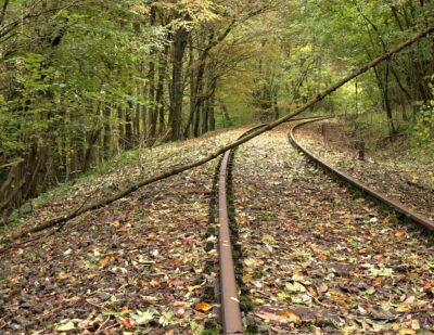 Leaves on the Line Could Become a Problem of the Past