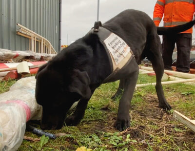 UK: Network Rail Enlists Sniffer Dogs in Crackdown on Metal Theft