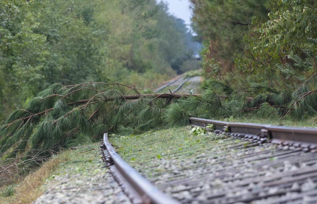 Line for a railroad near Fayetteville North Carolina blocked by trees from Hurricane Florence