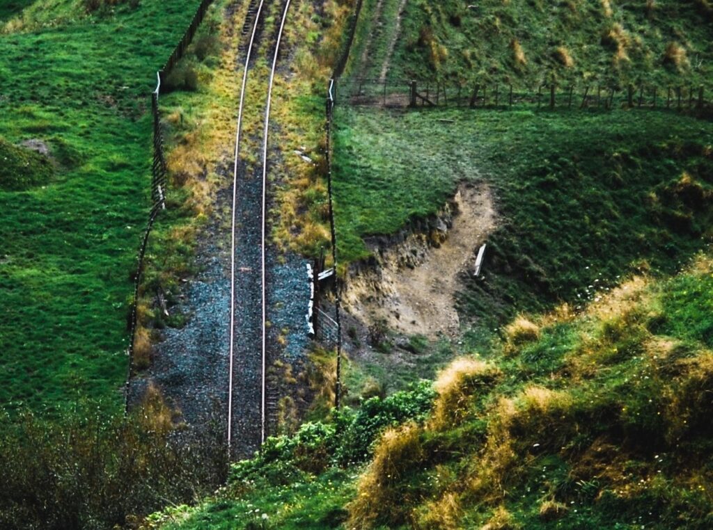 An image showing a train track affected by overgrown vegetation