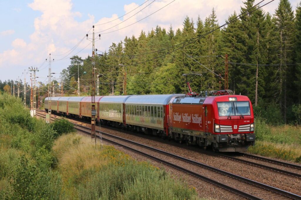 A red train on a track in the forest
