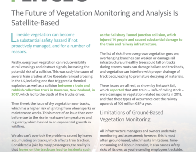 The Future of Vegetation Monitoring and Analysis Is Satellite-Based