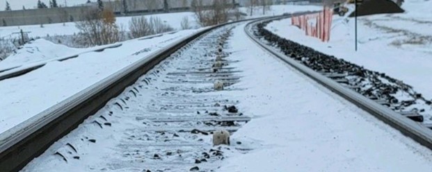 Train tracks covered in snow
