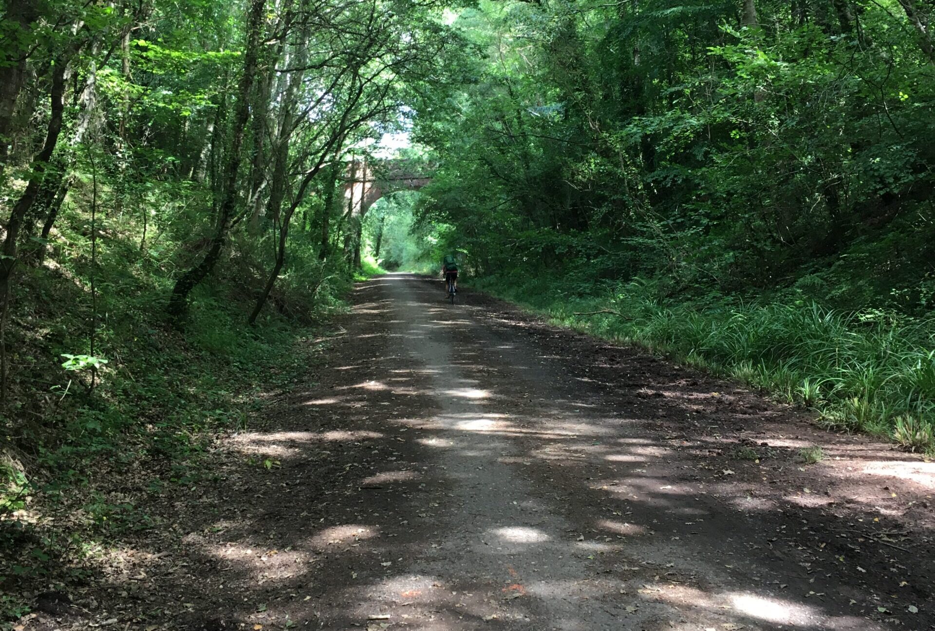 Budleigh Salteron Railway, a single-track branch line, closed in 1967 and is now a cycle path