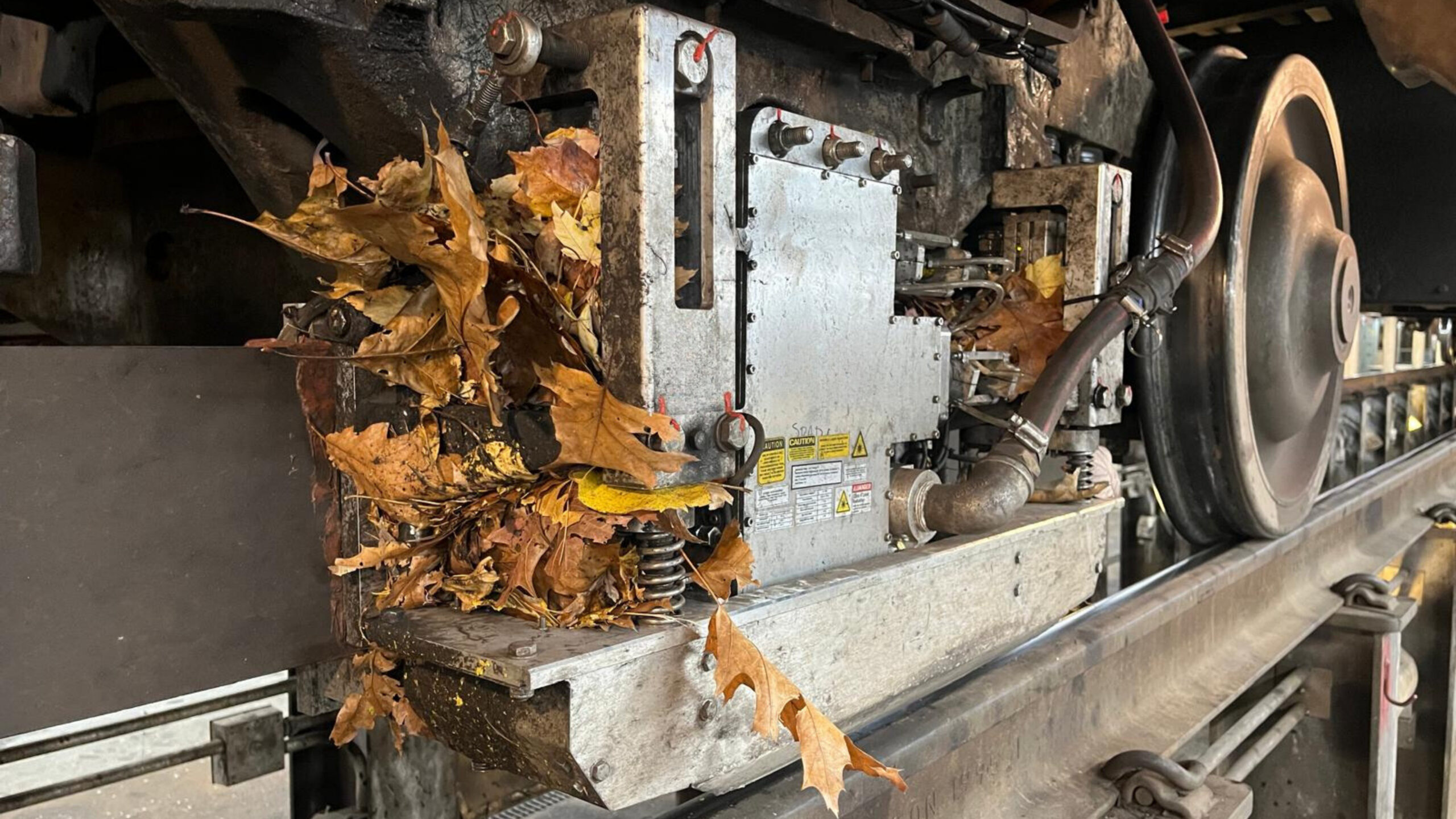 LaserTrain Cleaning-head (LTC) leaf season