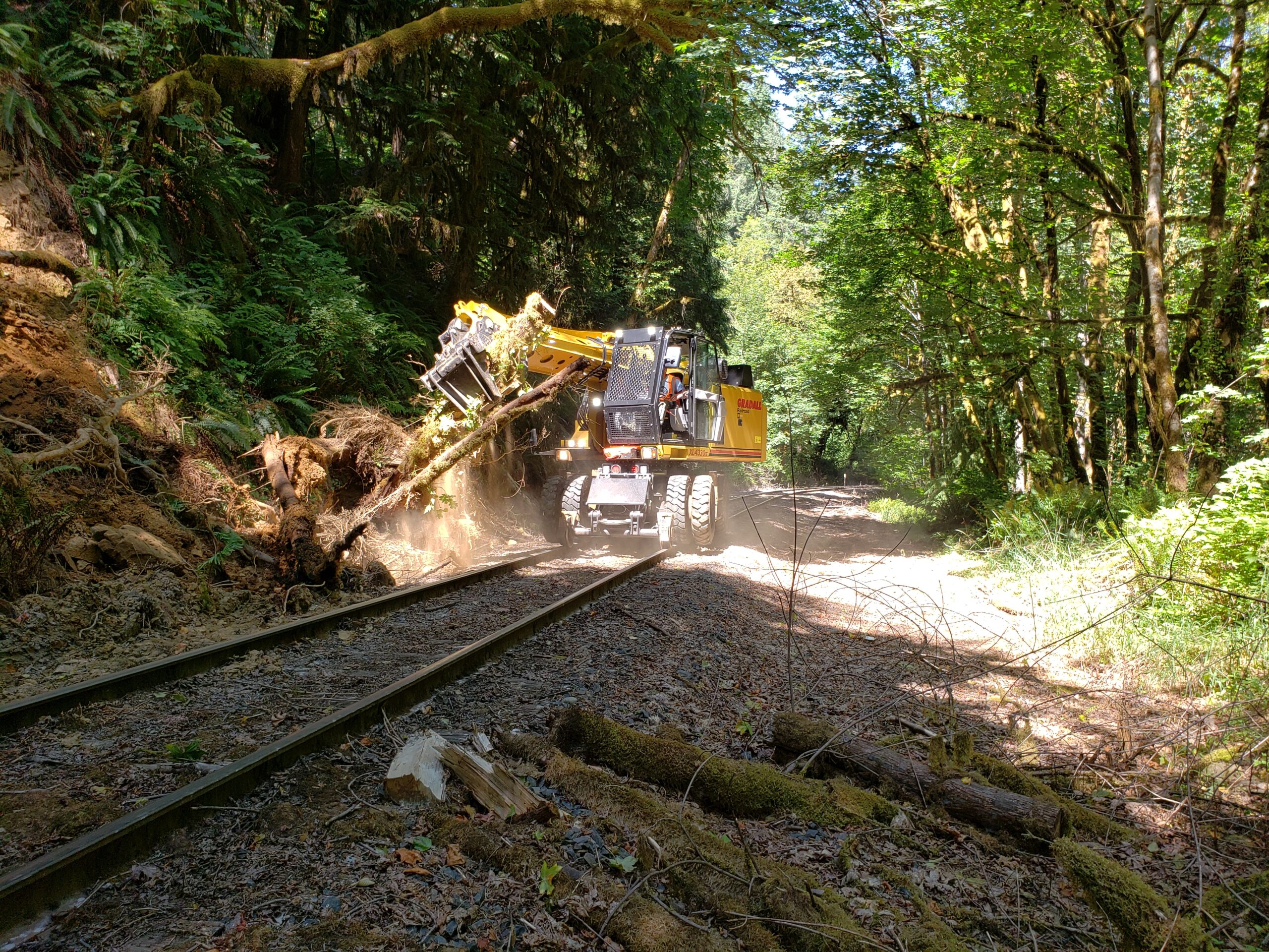 A yellow and black heavy-duty forestry machine clears fallen trees and debris near railroad tracks in a sun-dappled, mossy forest.