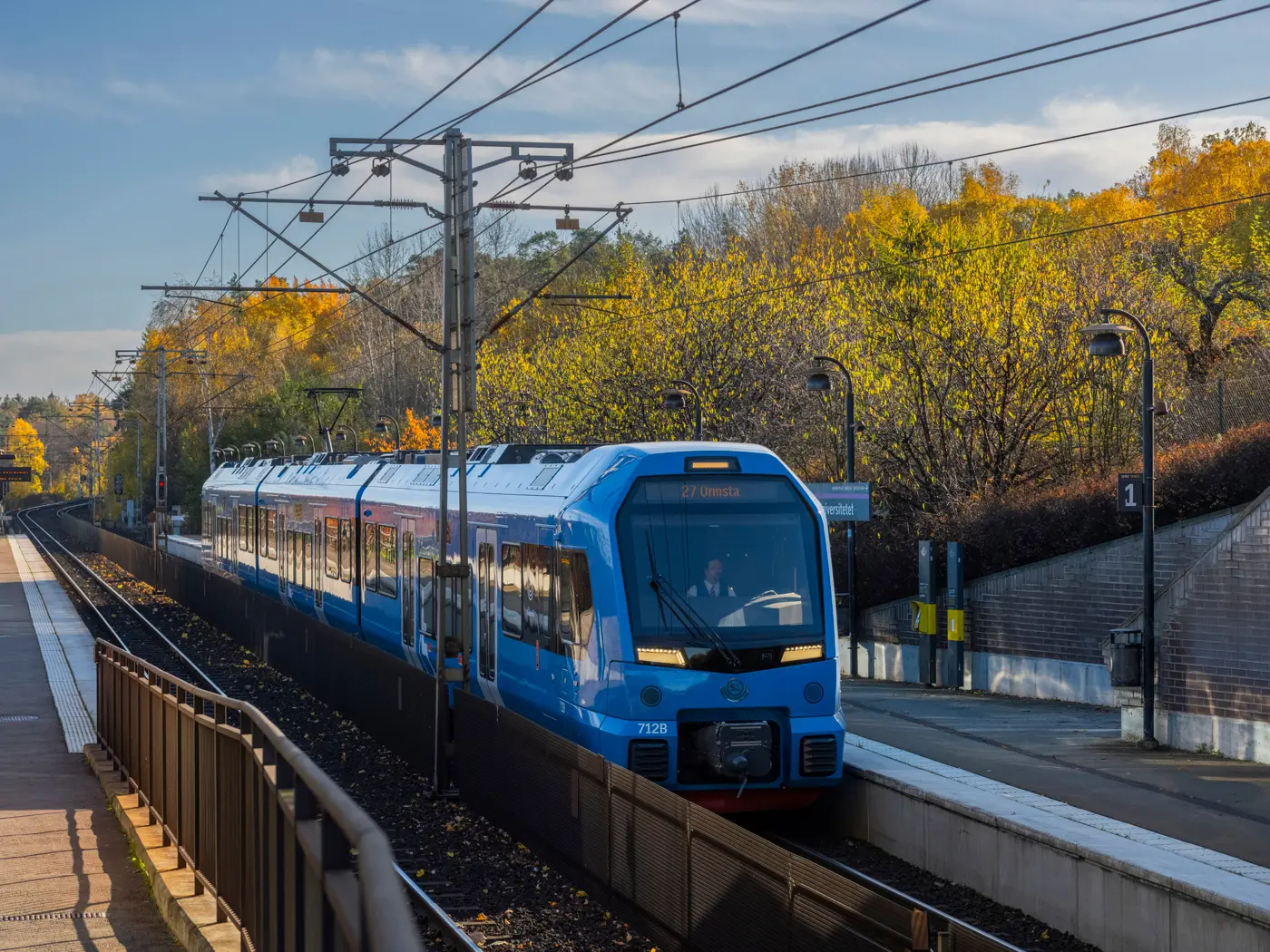 A train travelling on a track through an area with trees