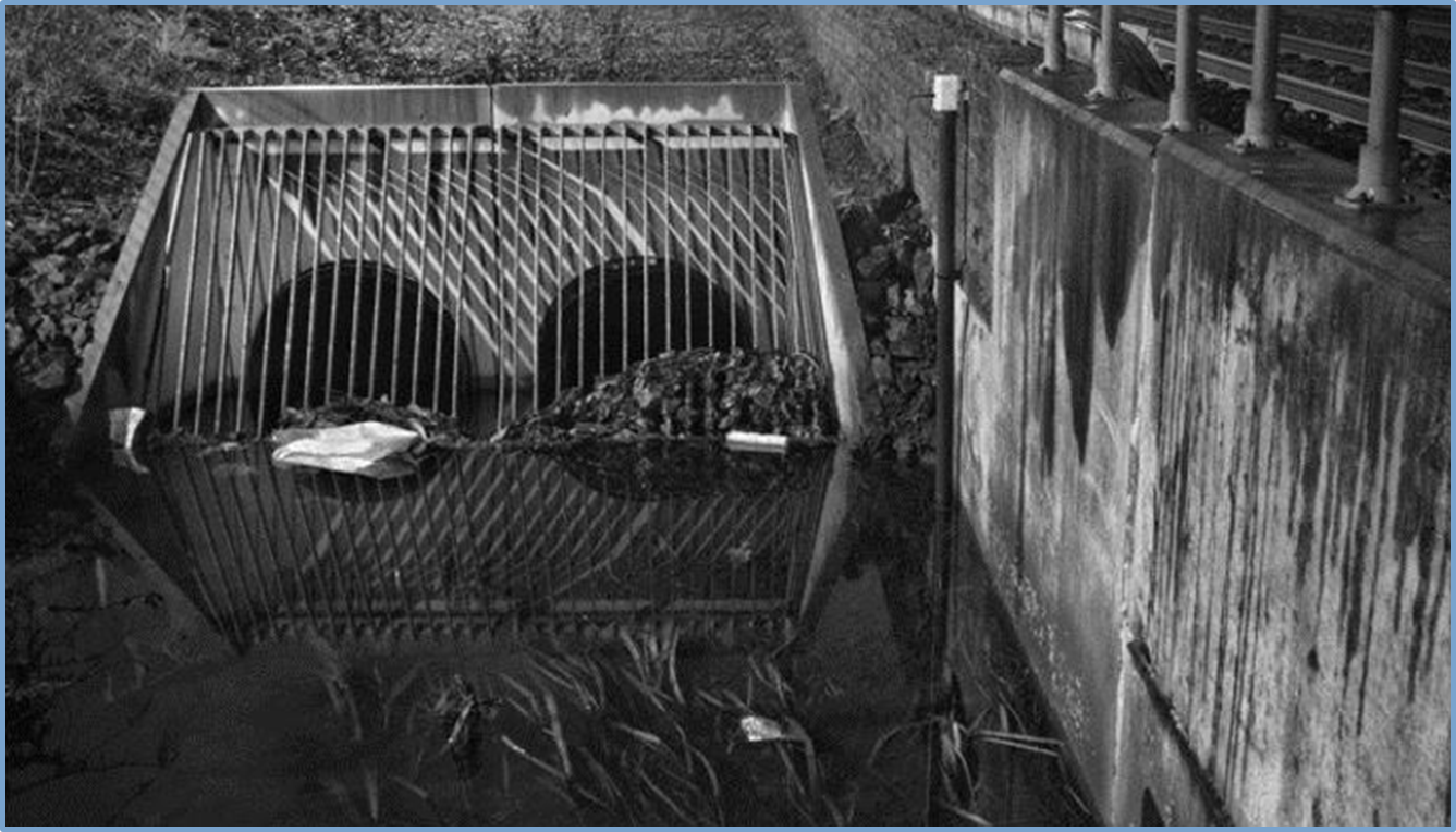 Figure 3: Automated cameras help remote users assess the significance of events such as landslips and rising water levels long before people can visit the site
