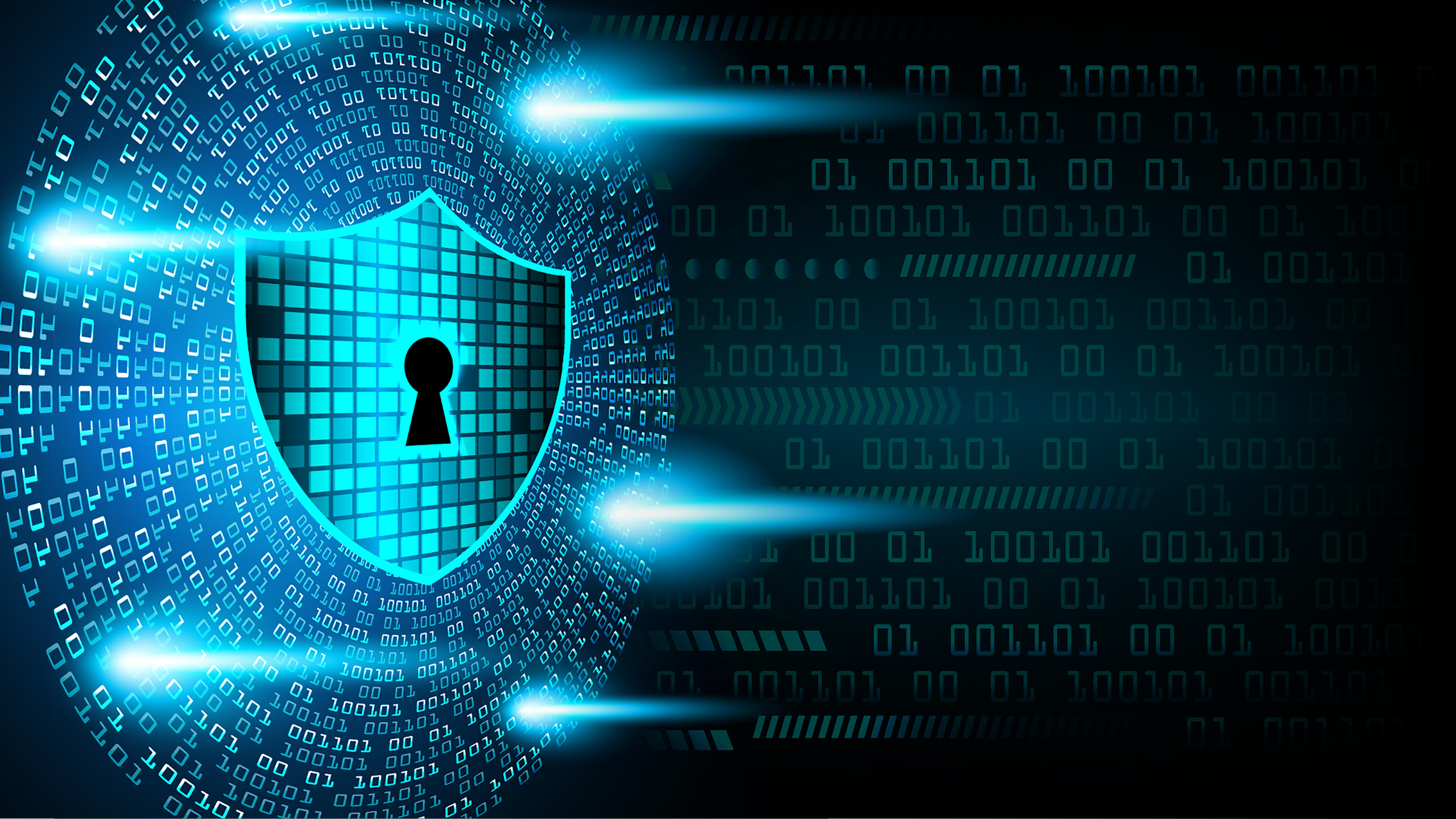 Graphic of data shield