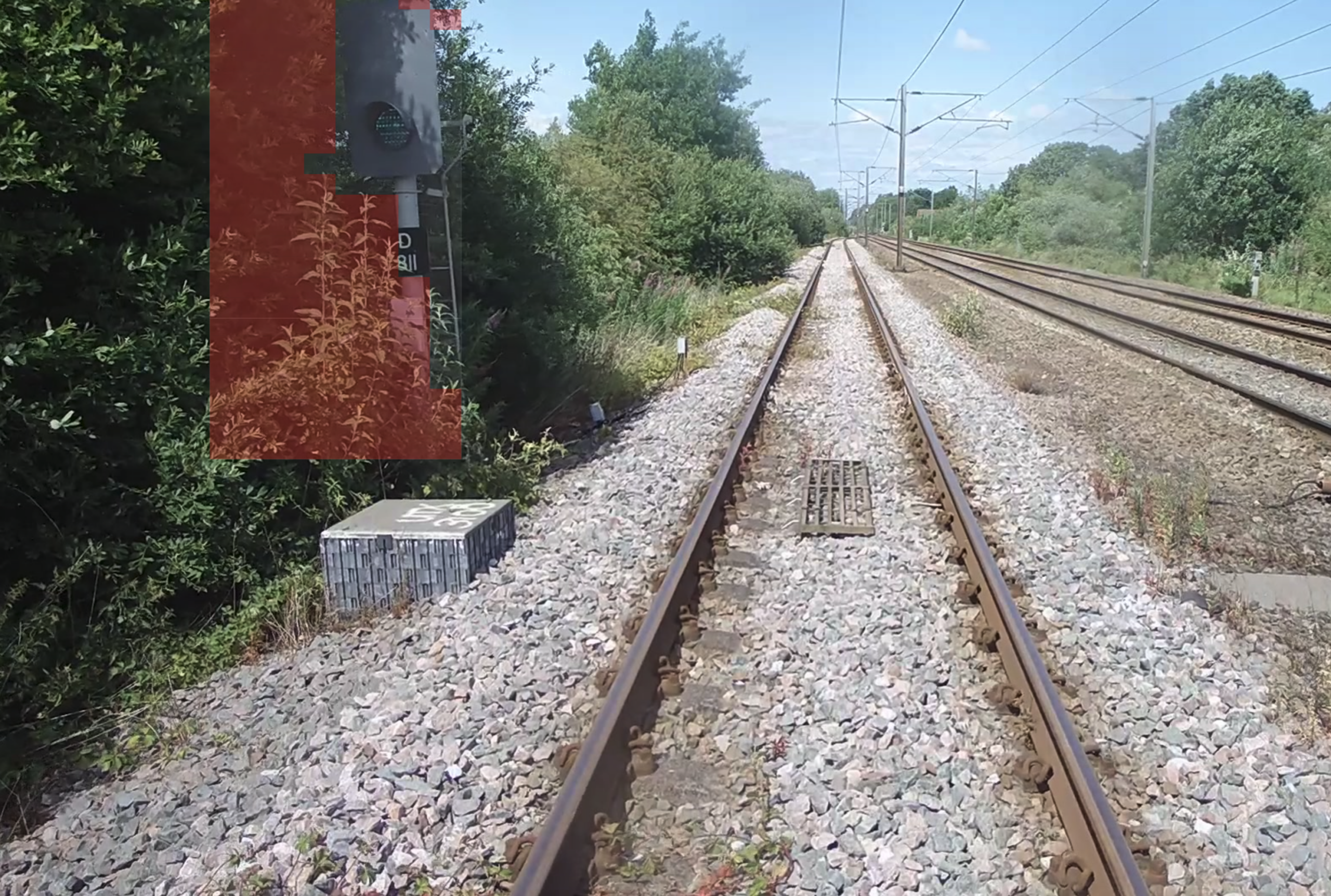 AIVR automatically detects and monitors vegetation encroachment and obscuration, supporting proactive clearance management.